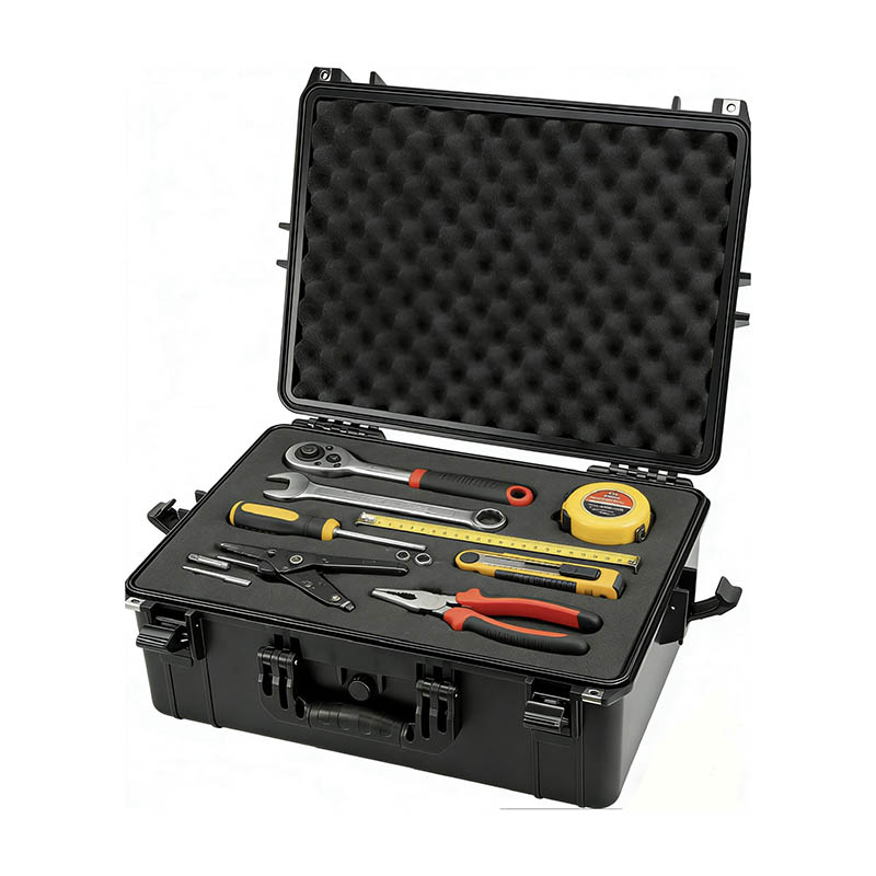 শিল্প প্লাস্টিক প্রতিরক্ষামূলক কেস